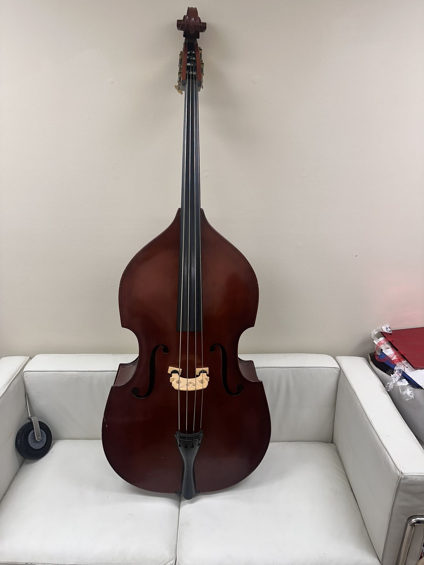 Double Bass