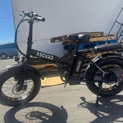 Brand New Electric Folding Bike With 2 Seats