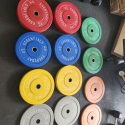 Colored Bumper Plates Weight Plates