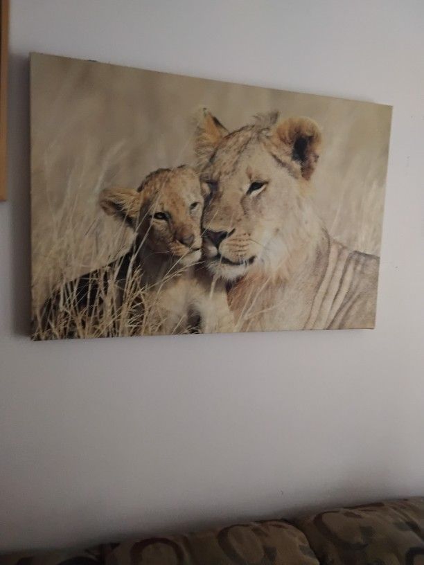 Best In Person Offers Its Still Available NE Philly 19114