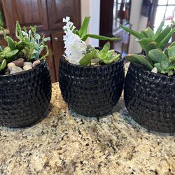 7" Succulent, Unique Ceramic Planter 