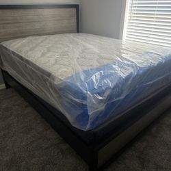 Payless Single Twin Mattress 99 Full Double 159 Queen Bed 179 King 229 California King 229 Frame 69 XL Twin Mattresses Se Habla Espanol 