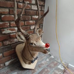 Taxidermy Rudolph Reindeer Antique/ Vintage Deer