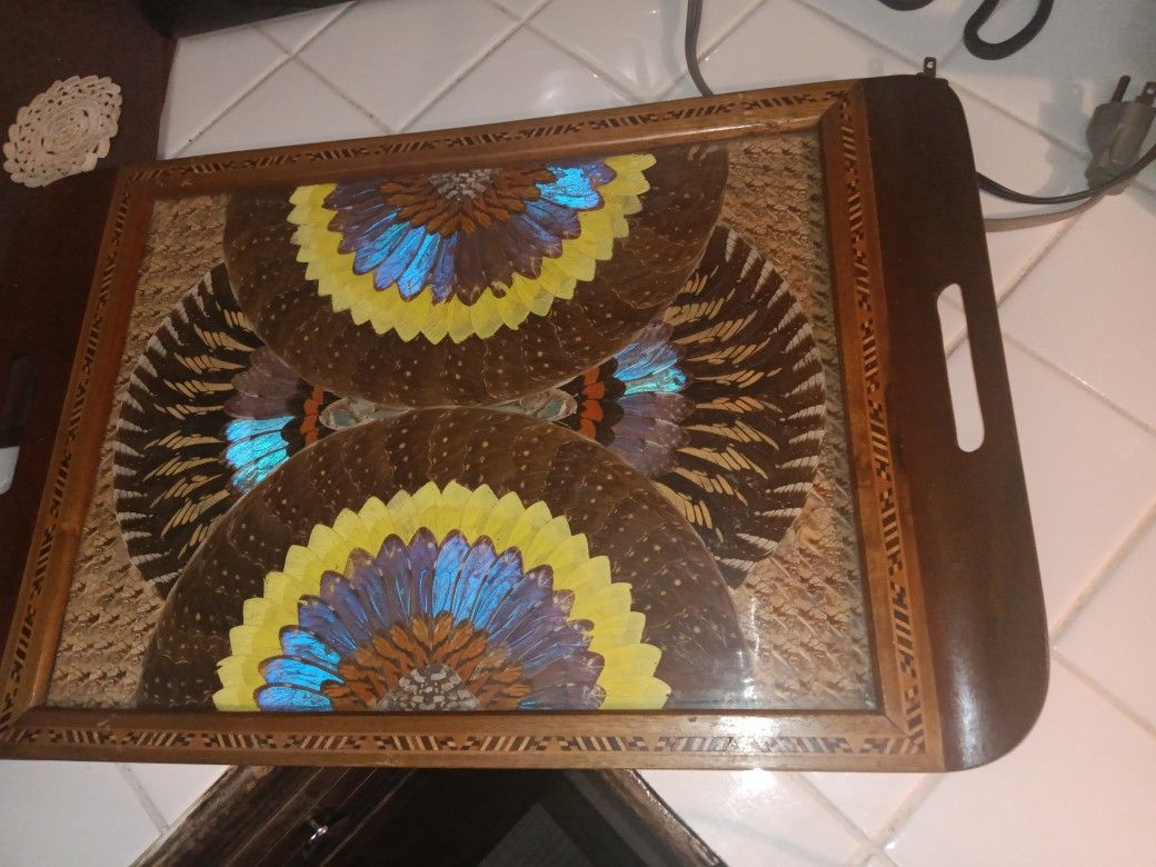 1940'S BRAZILIAN INLAID WOOD TRAY WITH REAL MORPHO BUTTERFLY WiNGS