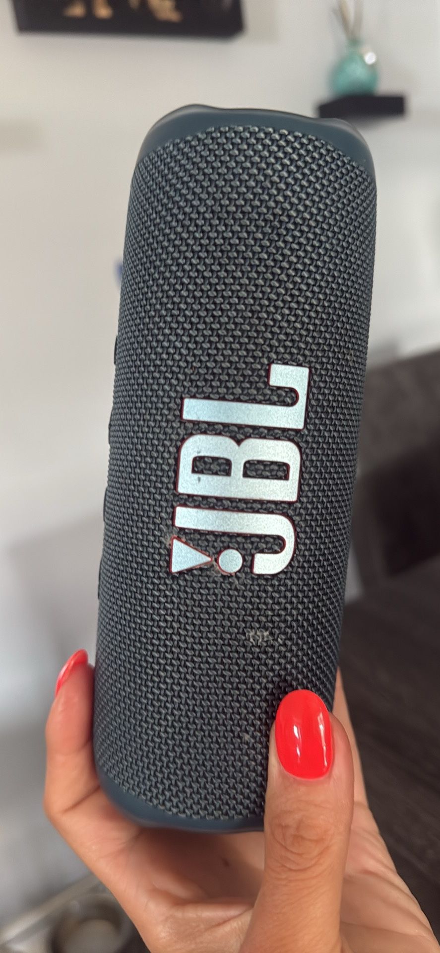 JBL Flip 6