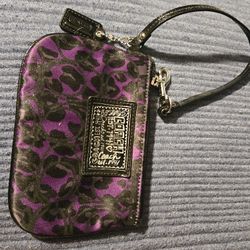 Woman's Purple Hand Clutch Bag