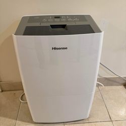 Dehumidifier With Pump Feature