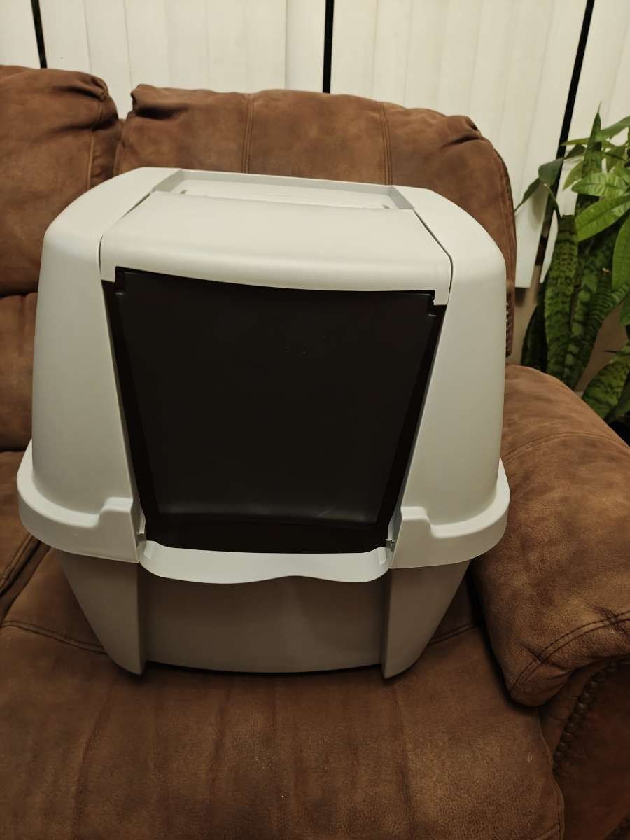 Cat Box