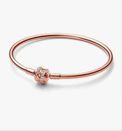 Pandora Bracelets and charms