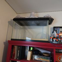 Terrarium 10 Gallon
