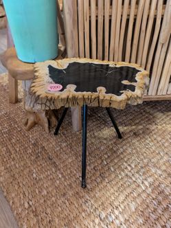 Petrified wood end table