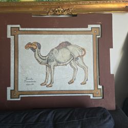Camel Framed Fantasy Illustration 