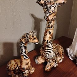 Giraffes 