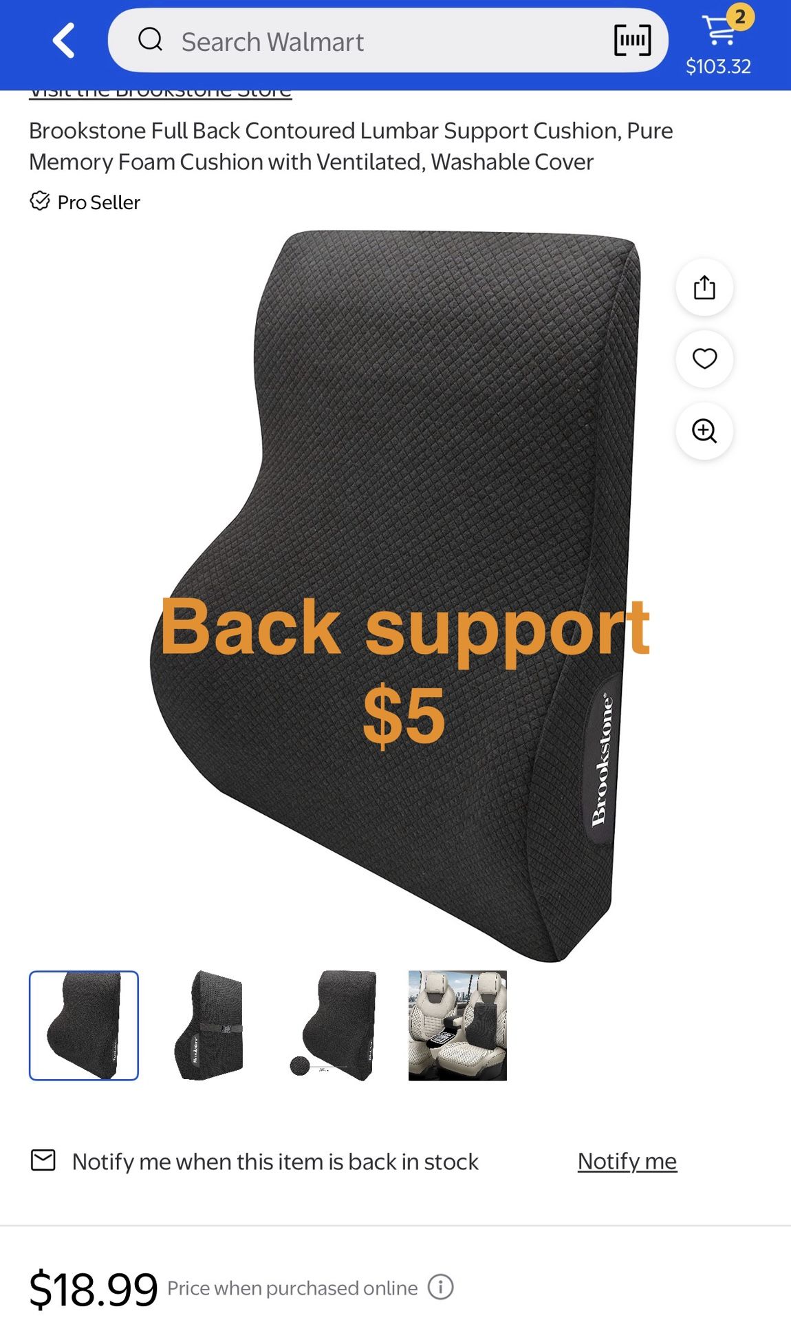 Lumbar Back Support