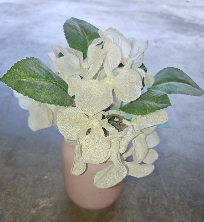 Flowers Decor 