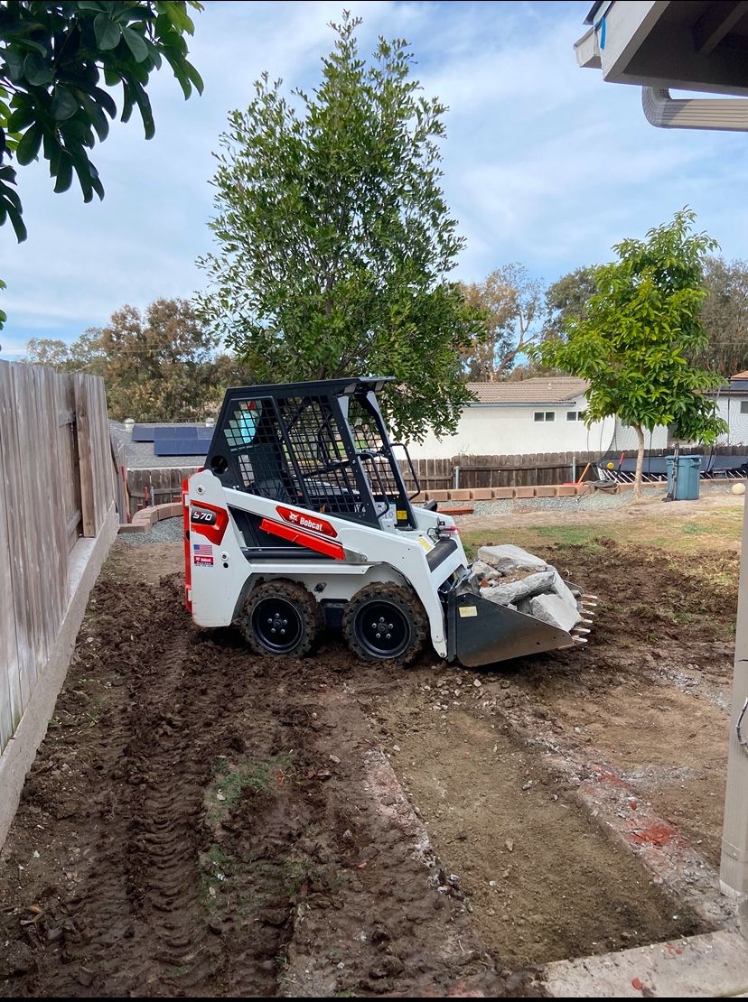 Bobcat