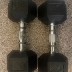 20lb Dumbbells