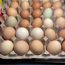 Eggs For Sale 