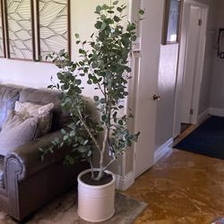 fake tree Eucalyptus home decor from costco