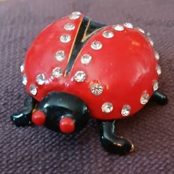 Ladybug Jewlery Box