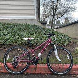 Novara Tutti Kids Youth Mountain Bike 24 wheels Bicycle