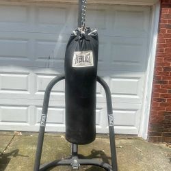Everlast Stand/Heavy Punching Bag