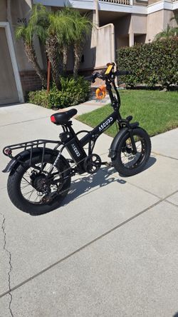 Asguard Fat Tire Folding Electric Bike