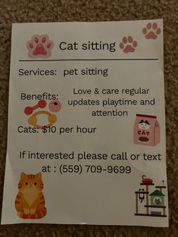 Cat sitting business