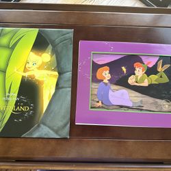 DISNEY PETER PAN RETURN TO NEVER LAND EXCLUSIVE LITHOGRAPH PICTURE 11 X 14 
