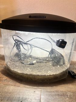 5 gallon bow-front fish tank aquarium