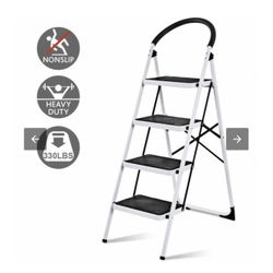 Folding Ladder 