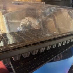 Plant Seedling Tray 
