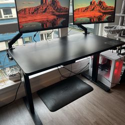 FLEXISPOT EN1 48"x30" Electric Standing Desk, Black