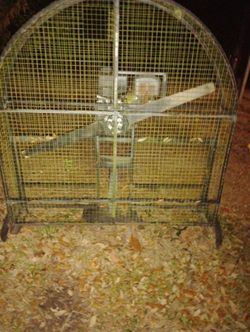 Fan Blade Motor