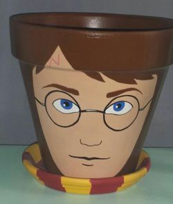 "Harry Potter" Pot