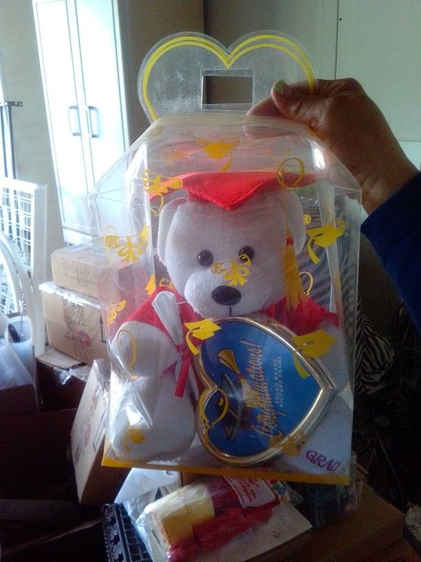 Graduation Teddy Bear