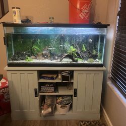 55 Gallon Aquarium/ Fish Tank & Stand