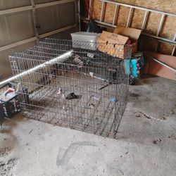 Dog Cage. Adult Size