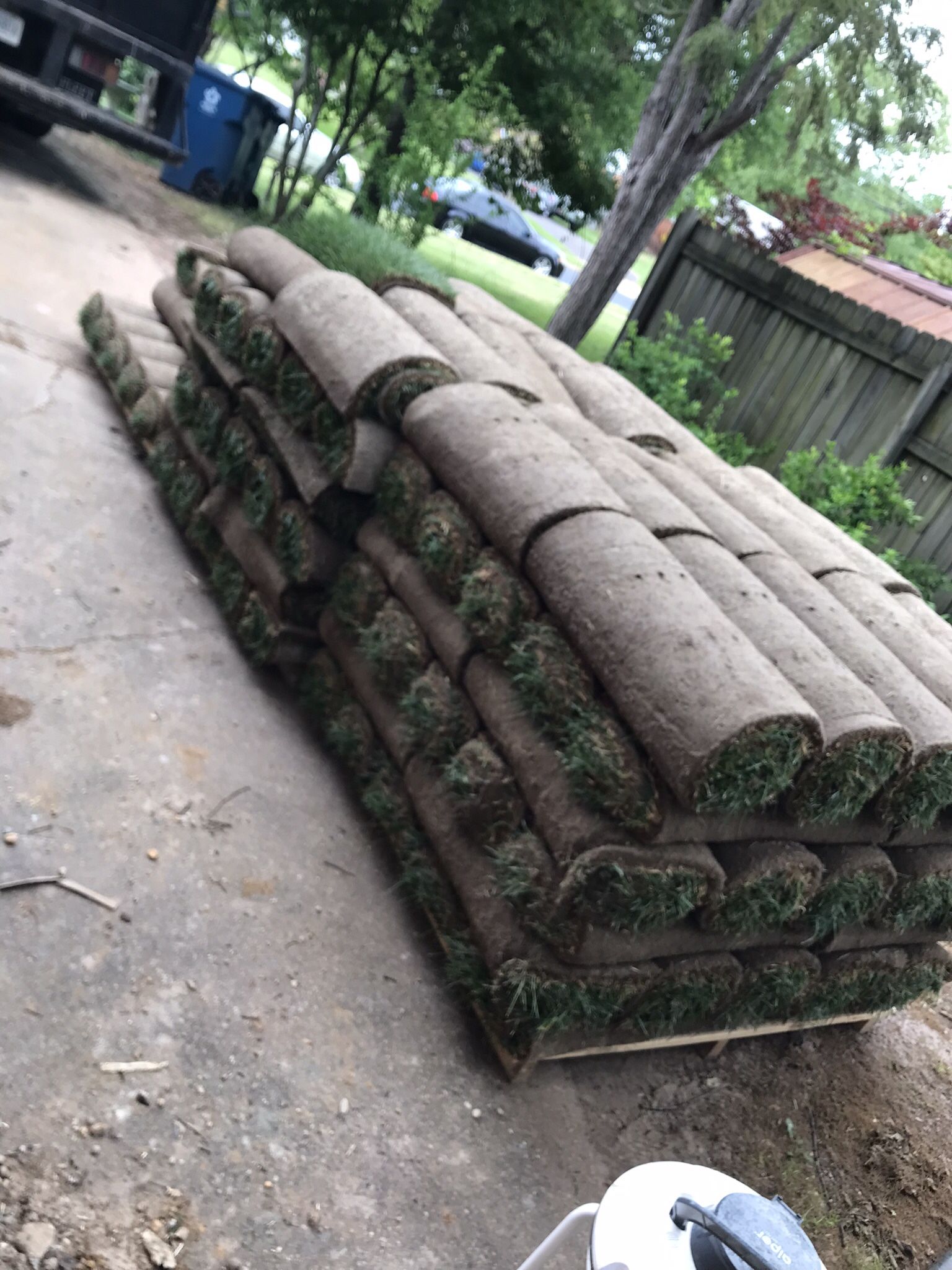 Fresh Sod