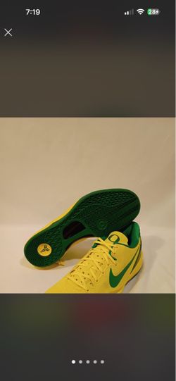 Kobe Oregon ducks pair