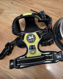 Dog Supplies