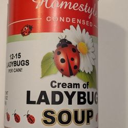 😆 Gag Gift Cream Of Ladybug Soup!