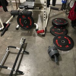 Full Weight set: Rack+Bar+Plates+Bench