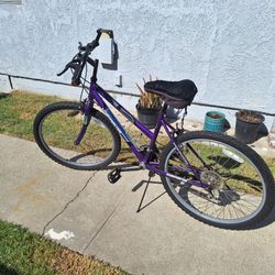 Roadmaster 26" mountain bike