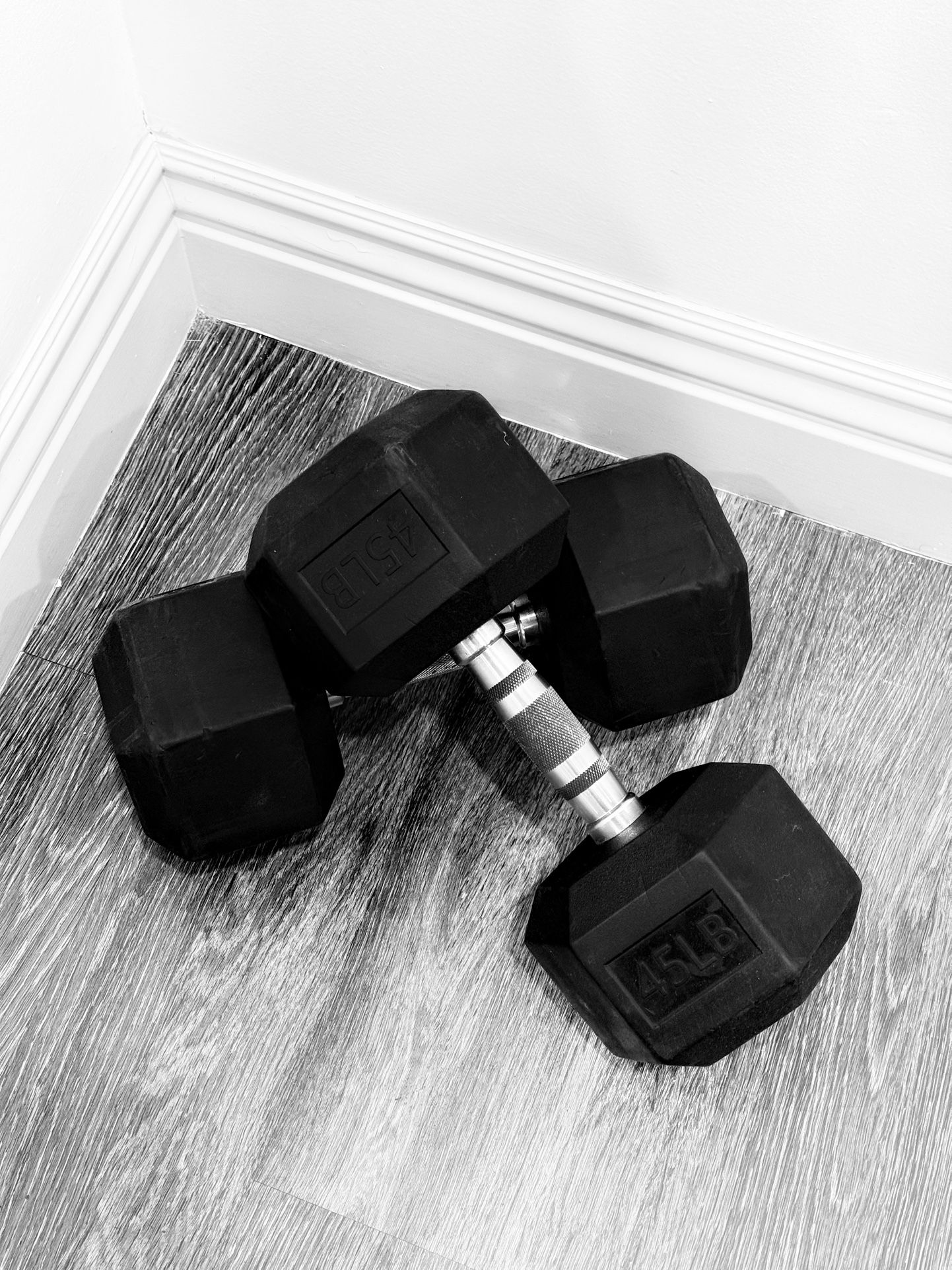 Pair of 45 lb. Dumbbells