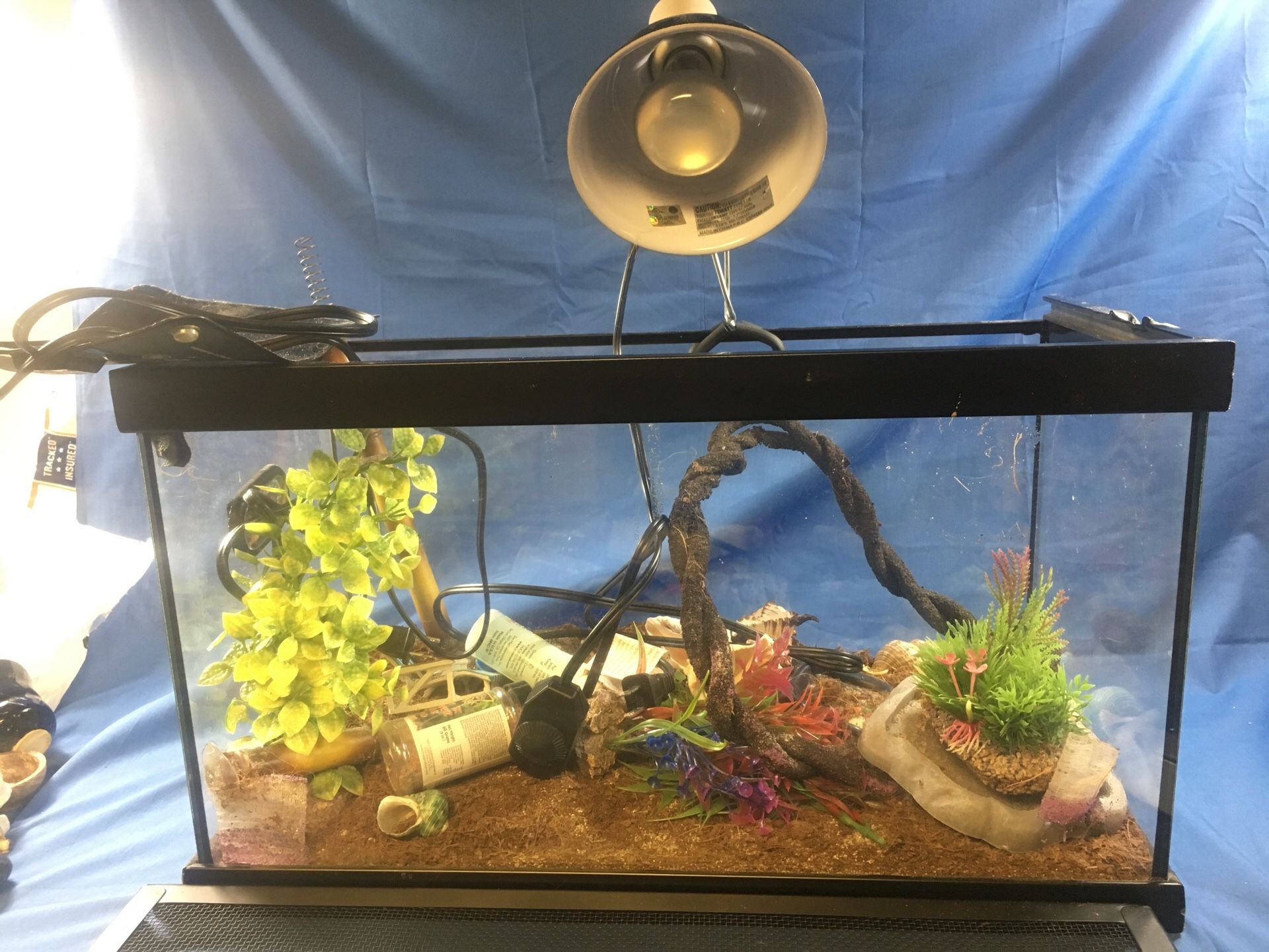 Keeping Hermit Crabs Warm Everything You Need To Know