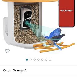Bird feeder with camera.