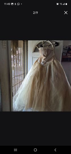 Quinceaṅera Dress For Women Adjustable Size 2XL/3XL