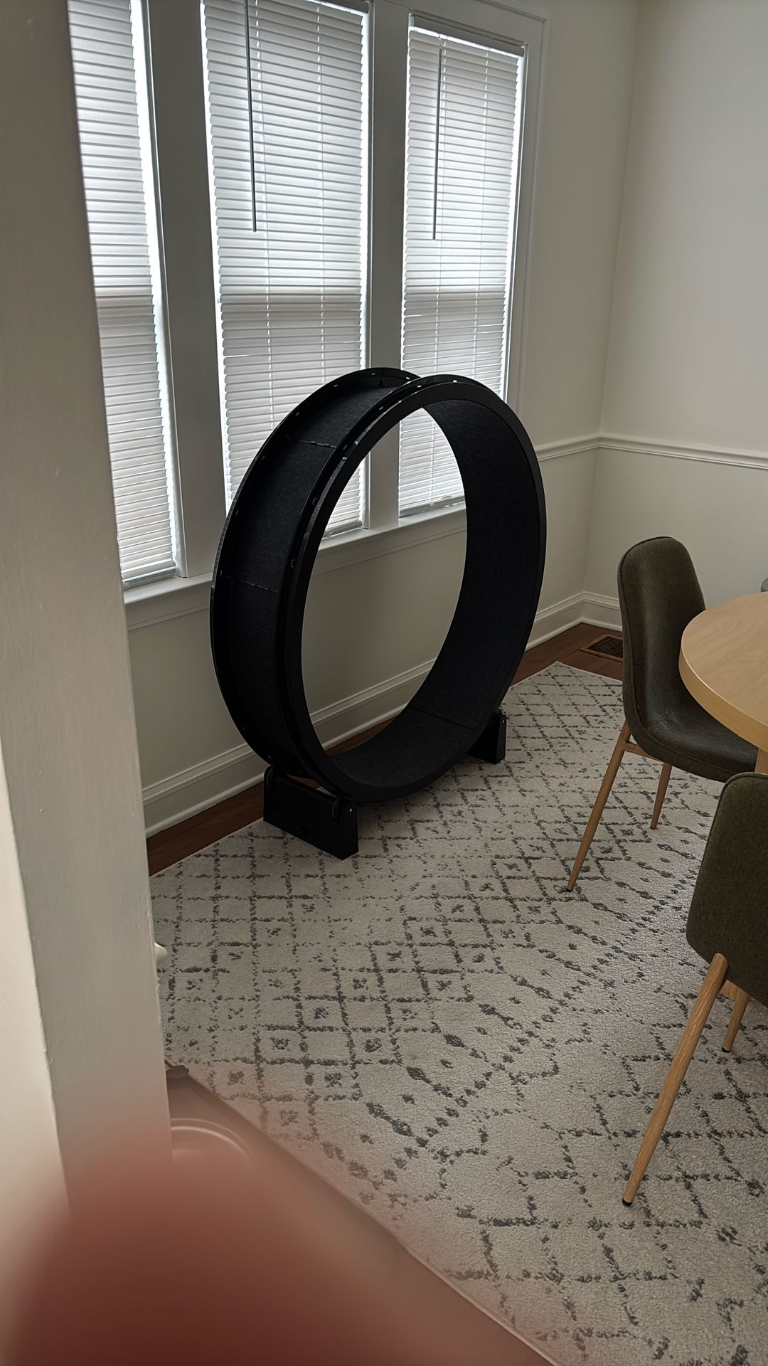 FastCat Cat Wheel $150 OBO