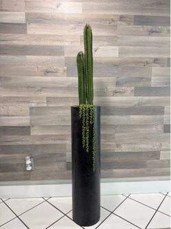 Artificial cactus